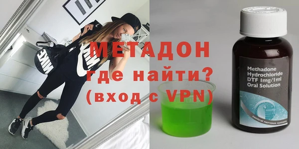 индика Сатка