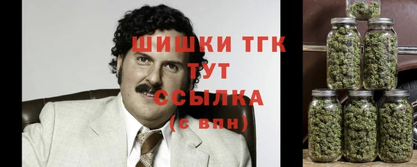 индика Сатка