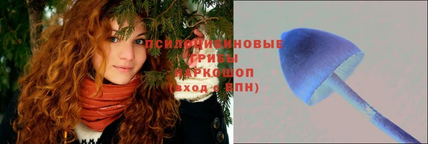 СК Горно-Алтайск