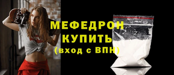 индика Сатка