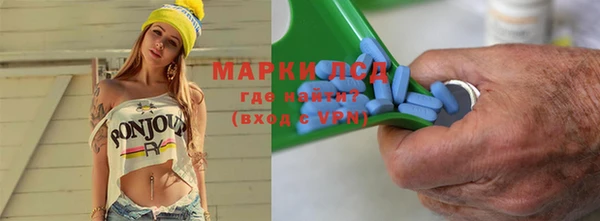 индика Сатка