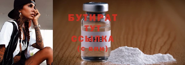 индика Сатка