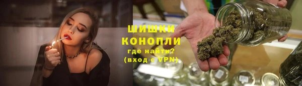 индика Сатка