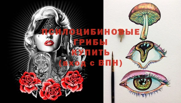 индика Сатка