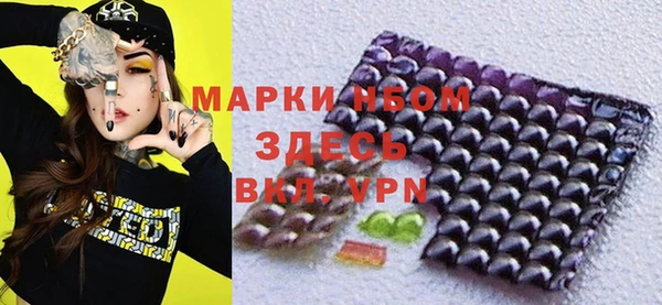 индика Сатка