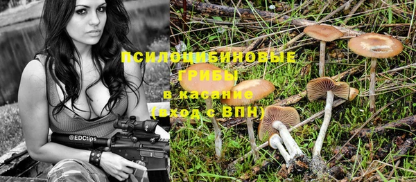 индика Сатка