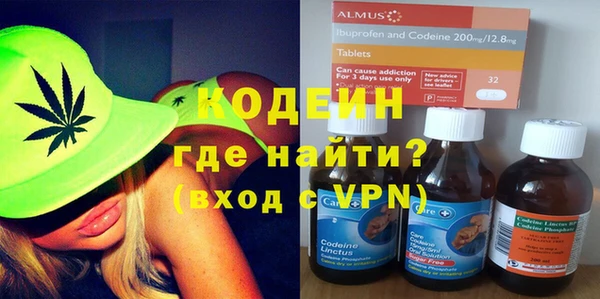 индика Сатка