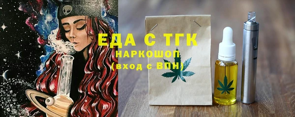 индика Сатка