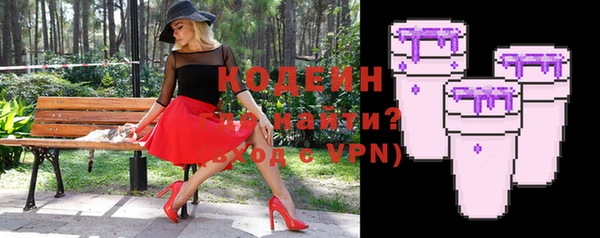индика Сатка
