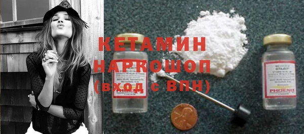 индика Сатка