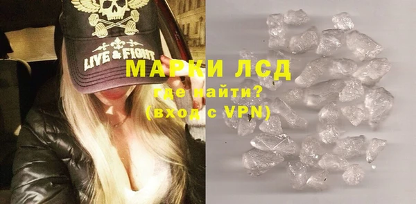 индика Сатка