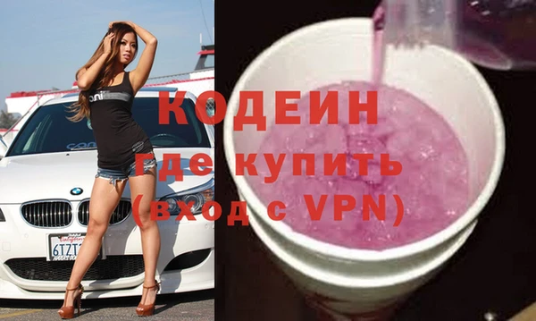 индика Сатка