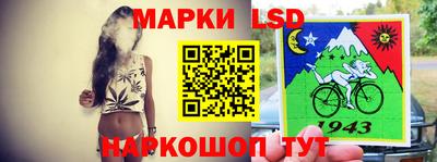 spice Камышлов