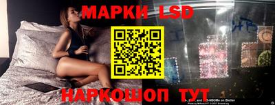МДПВ Канаш