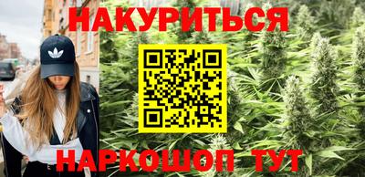 spice Камышлов