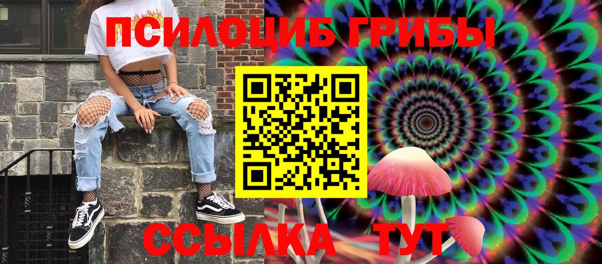 Псилоцибиновые грибы Cubensis Пятигорск