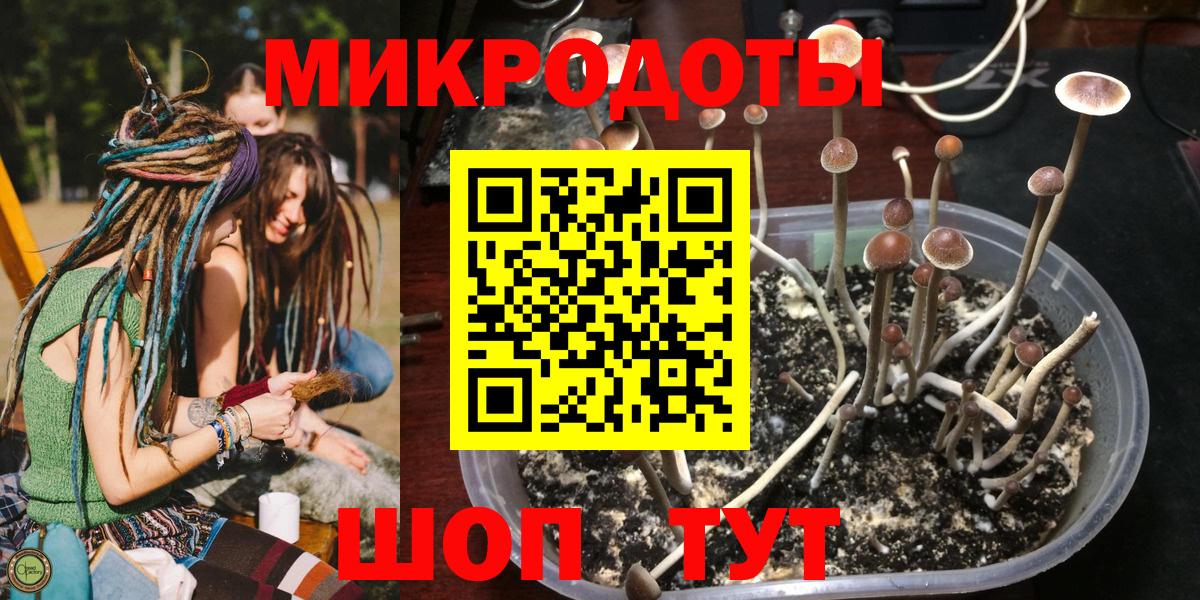 Псилоцибиновые грибы мухоморы  хочу наркоту  Пятигорск 