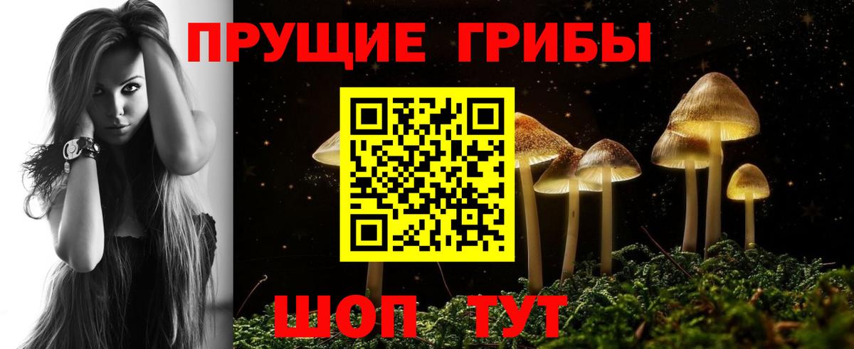Галлюциногенные грибы Cubensis Пятигорск